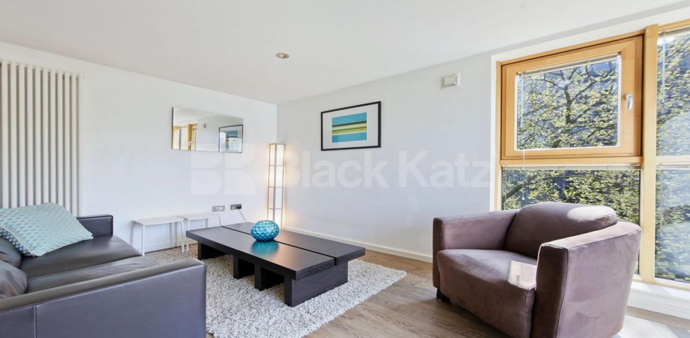 Flooded with natural light,south facing & dual aspect  Boulevard Mansions.Borough Road, Borough